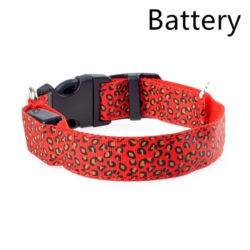 Rechargeable LED dog collar made of nylon webbing with USB charging available in multiple colours and sizes for small to large dogs