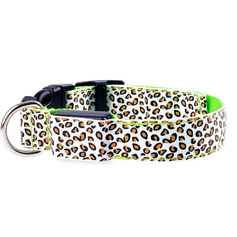 Rechargeable LED dog collar made of nylon webbing with USB charging available in multiple colours and sizes for small to large dogs