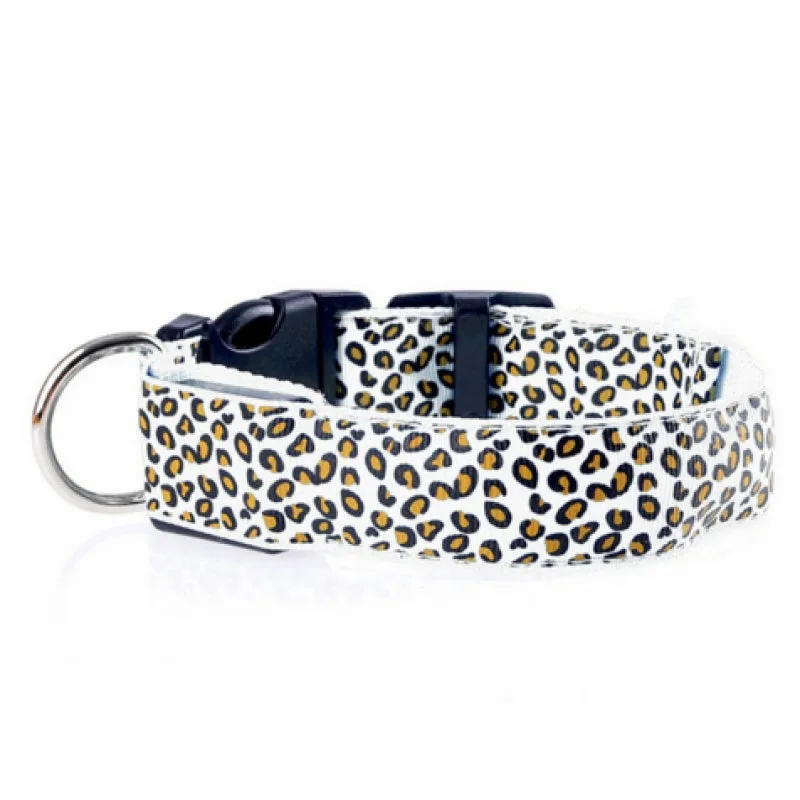 Rechargeable LED dog collar made of nylon webbing with USB charging available in multiple colours and sizes for small to large dogs