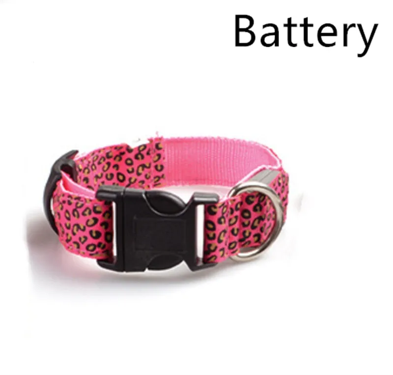 Rechargeable LED dog collar made of nylon webbing with USB charging available in multiple colours and sizes for small to large dogs