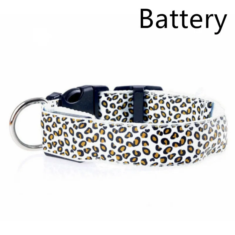 Rechargeable LED dog collar made of nylon webbing with USB charging available in multiple colours and sizes for small to large dogs