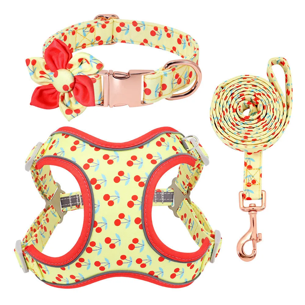 Small dog leash set with adjustable collar and towing rope in blue green red yellow colours