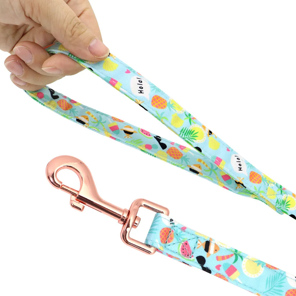 Small dog leash set with adjustable collar and towing rope in blue green red yellow colours