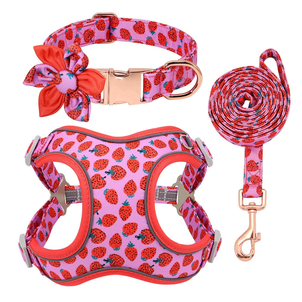 Small dog leash set with adjustable collar and towing rope in blue green red yellow colours