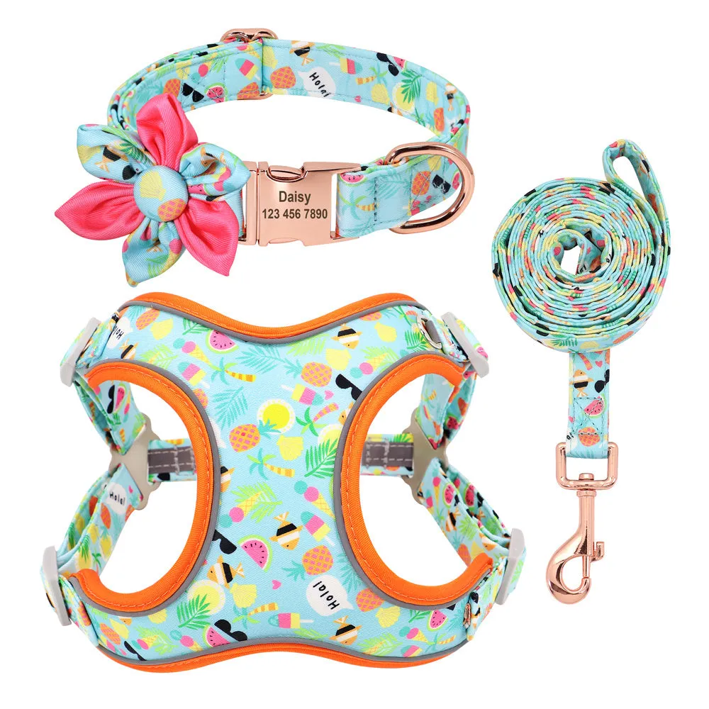 Small dog leash set with adjustable collar and towing rope in blue green red yellow colours