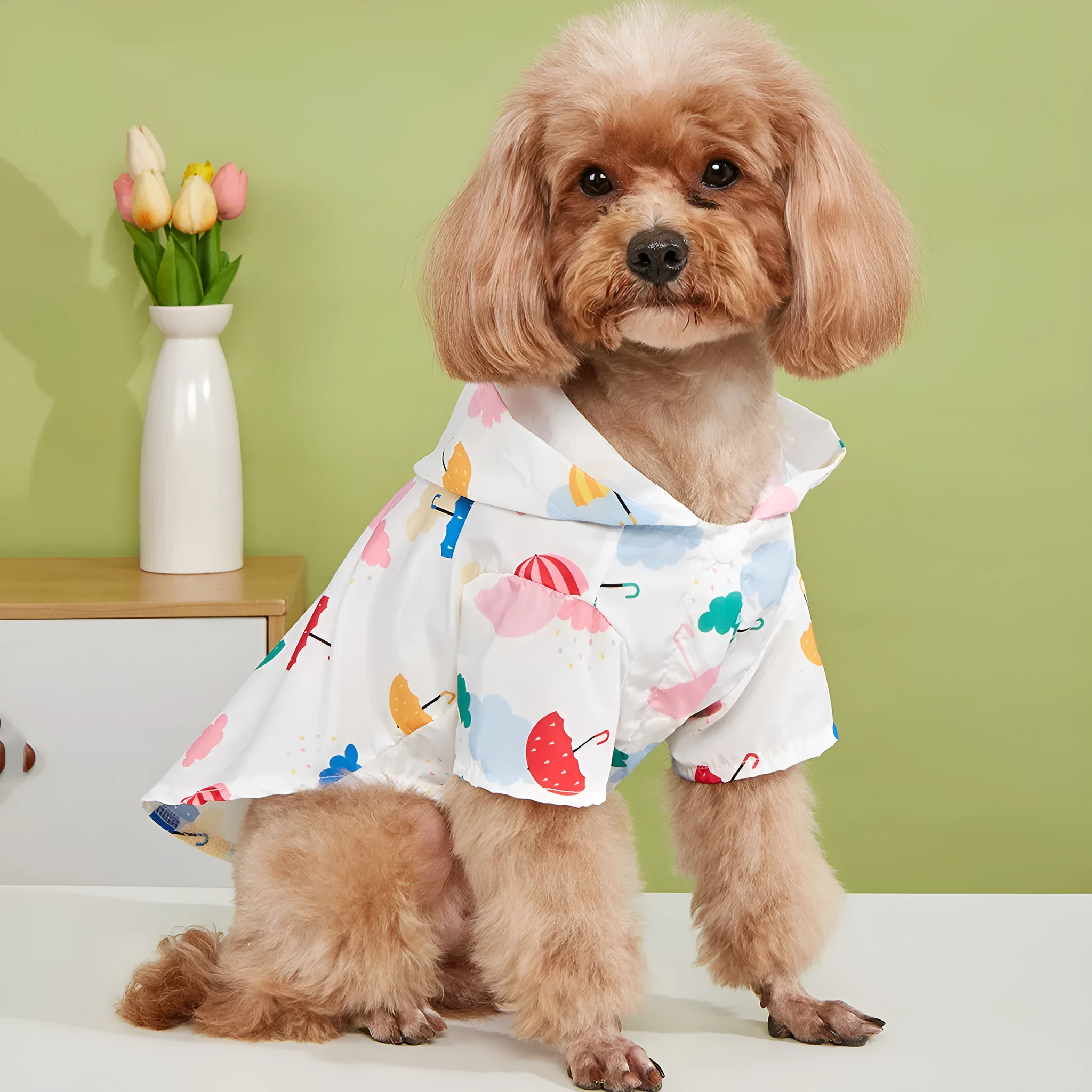 Colourful cartoon umbrella print dog raincoat in polyester, showing sizes XS, S, M, L, XL.
