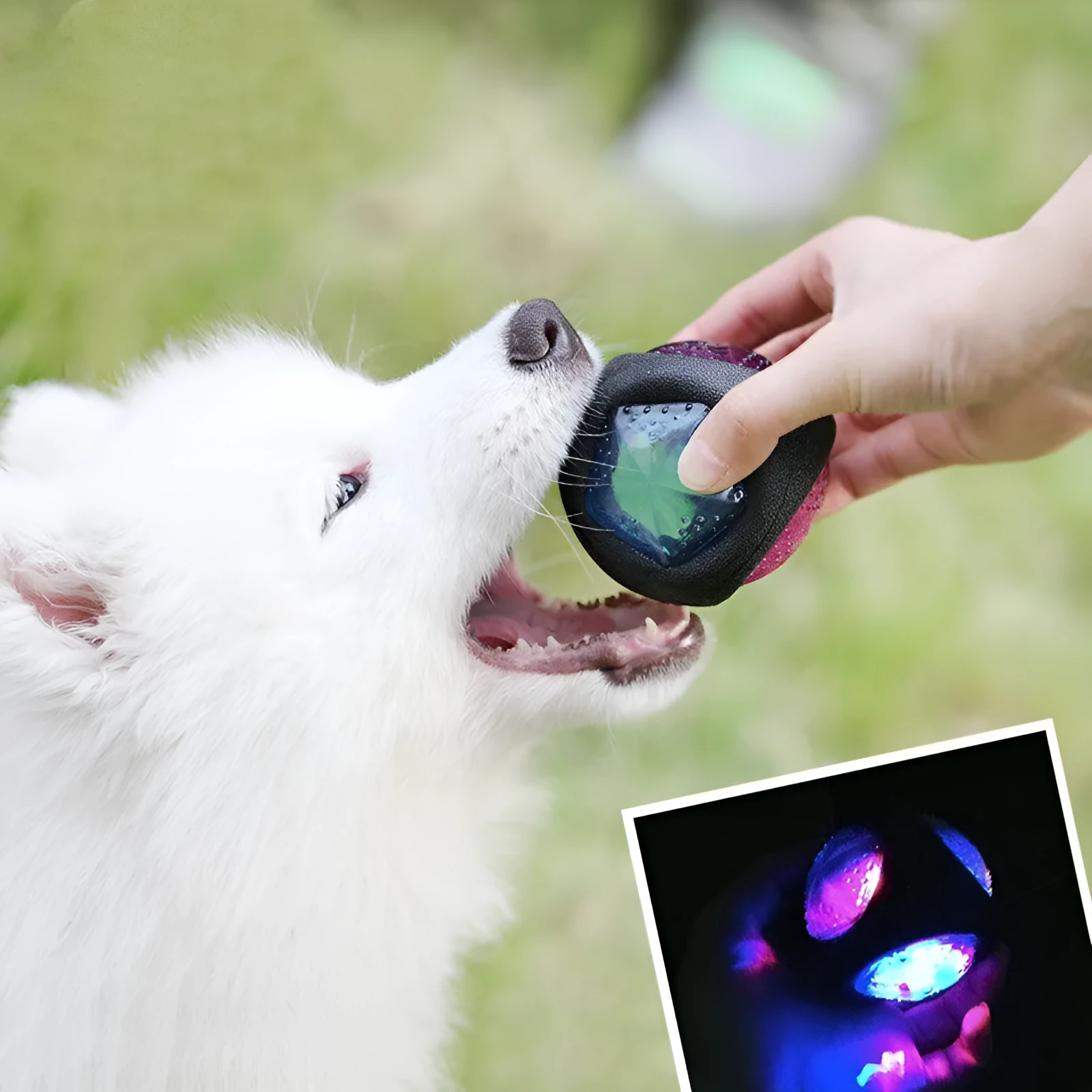 Dog bite resistant rubber sound toy with light effects in lemon style for canine play