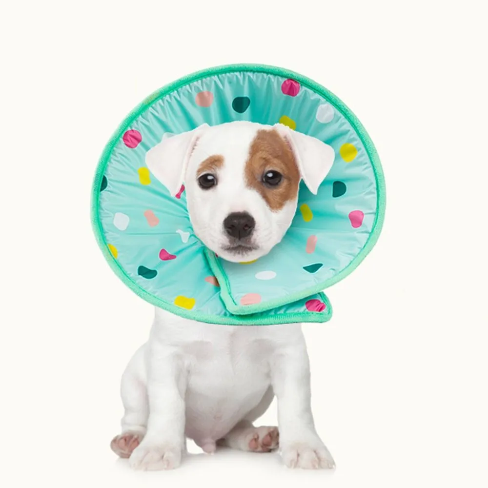 Light blue polyester anti lick scratch protection ring for dogs and cats, sizes S M L XL