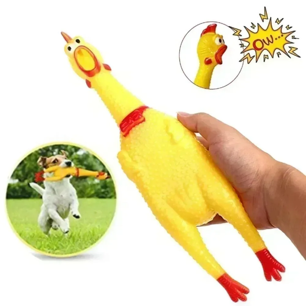 Yellow rubber screaming chicken dog squeak toy in three different sizes