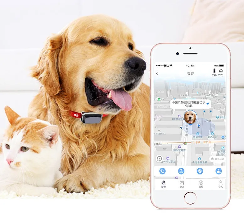 Beidou GPS pet positioning collar in black with LED light and nylon strap for dogs and cats