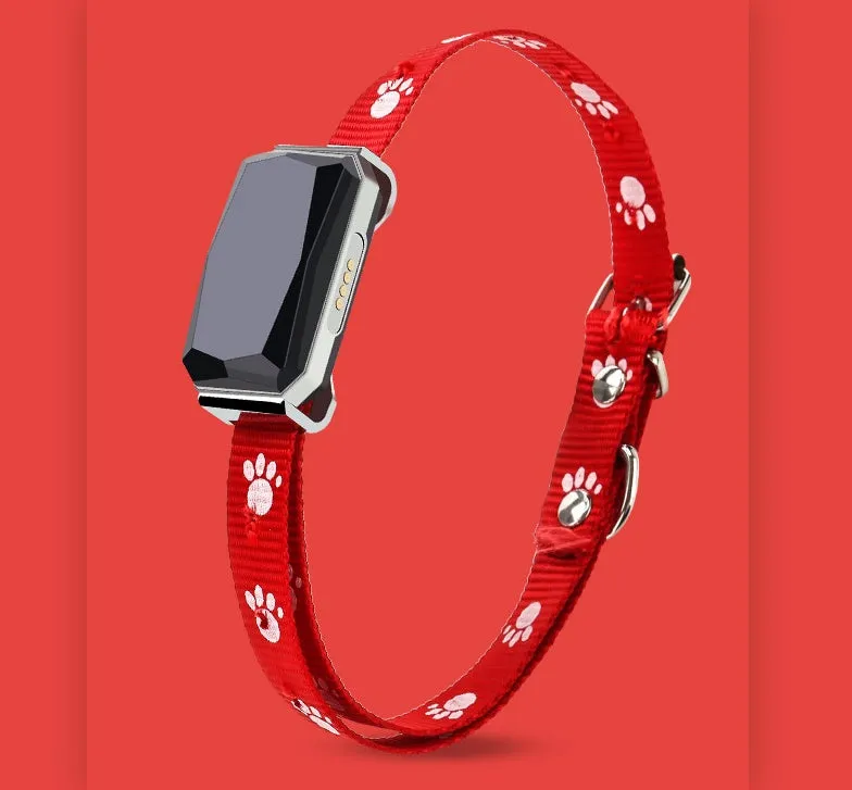 Beidou GPS pet positioning collar in black with LED light and nylon strap for dogs and cats