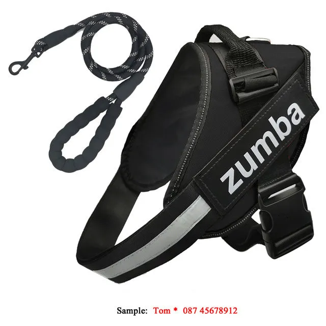 Reflective adjustable nylon dog harness and leash set in six sizes XS to XXL, seven colours available