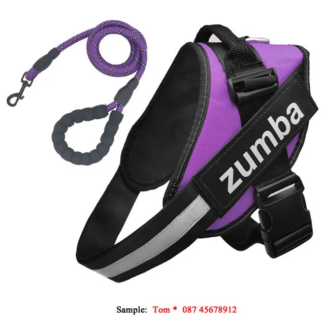 Reflective adjustable nylon dog harness and leash set in six sizes XS to XXL, seven colours available