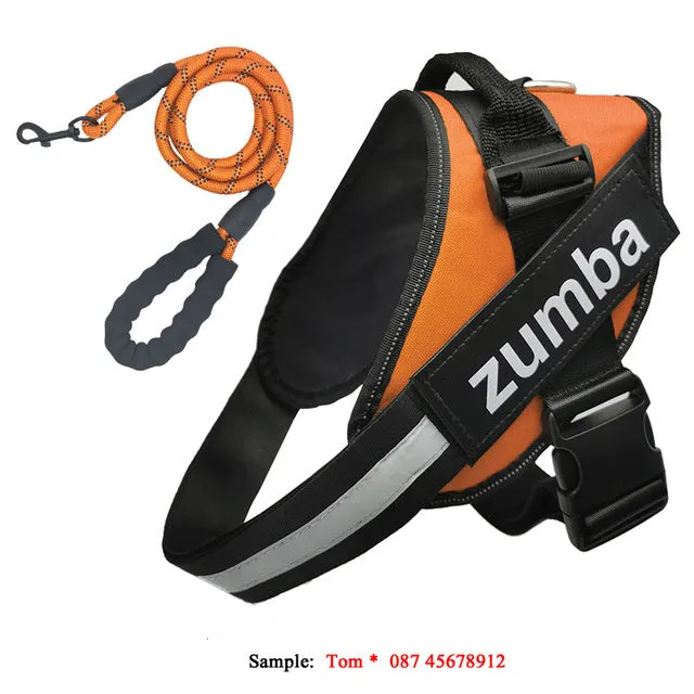 Reflective adjustable nylon dog harness and leash set in six sizes XS to XXL, seven colours available