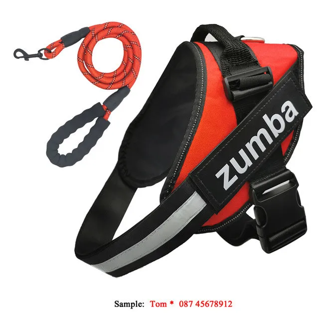 Reflective adjustable nylon dog harness and leash set in six sizes XS to XXL, seven colours available
