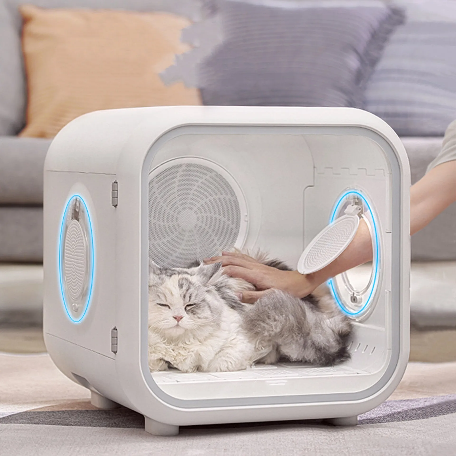Pet intelligent drying box fully automatic non-boom style with 50L capacity and spiral heating wire for home use