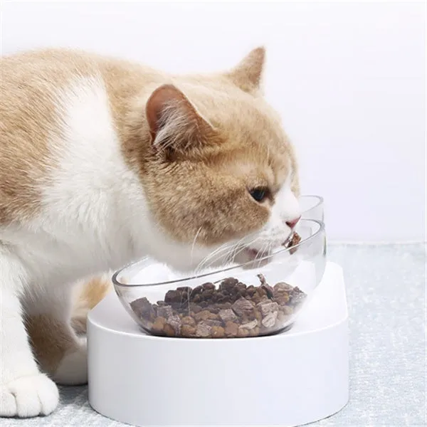 15° adjustable cat bowl set single and double food bowl PC ABS plastic anti-overfill design