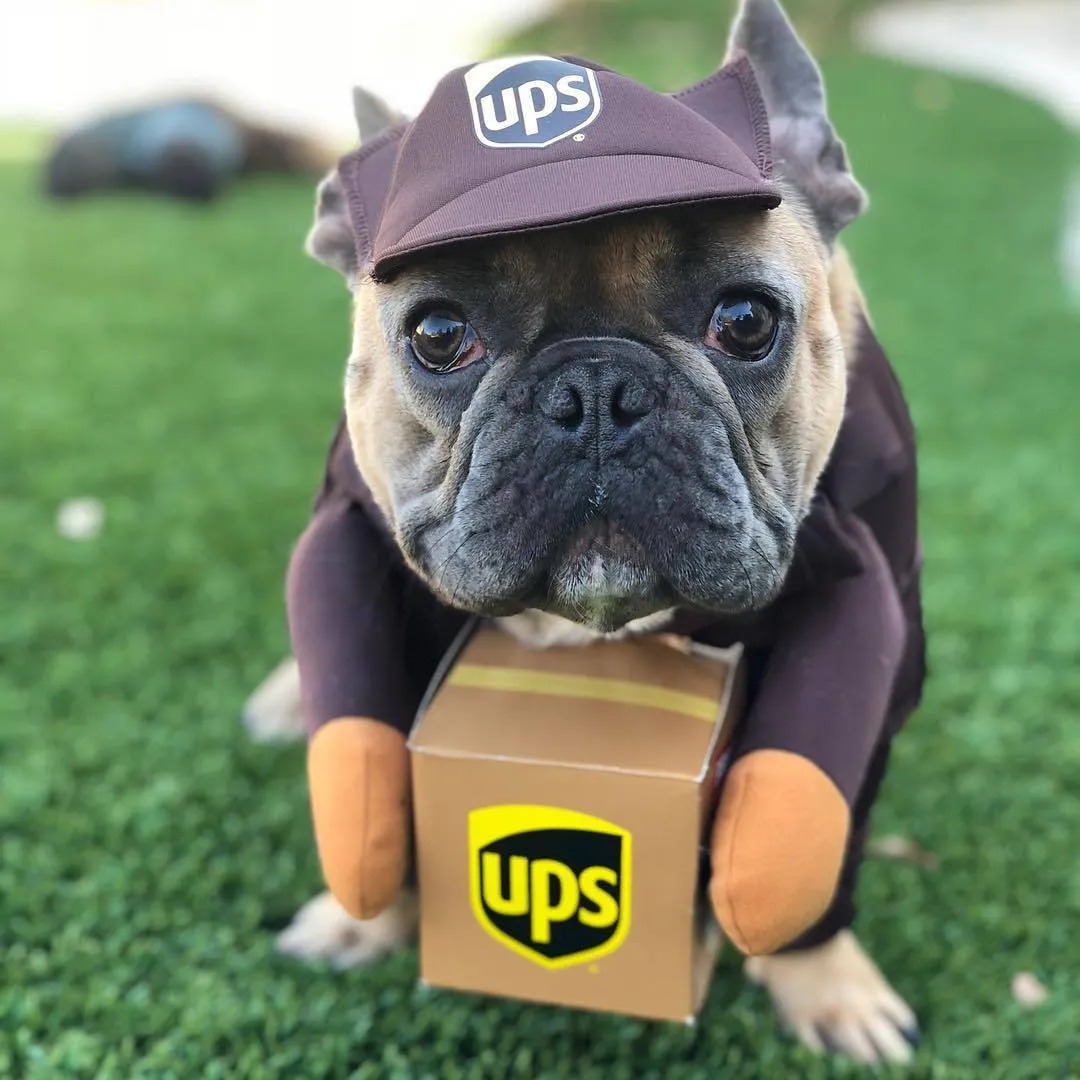 Funny Express pet dog cat clothes in brown cloth, size L for chest 60-70cm