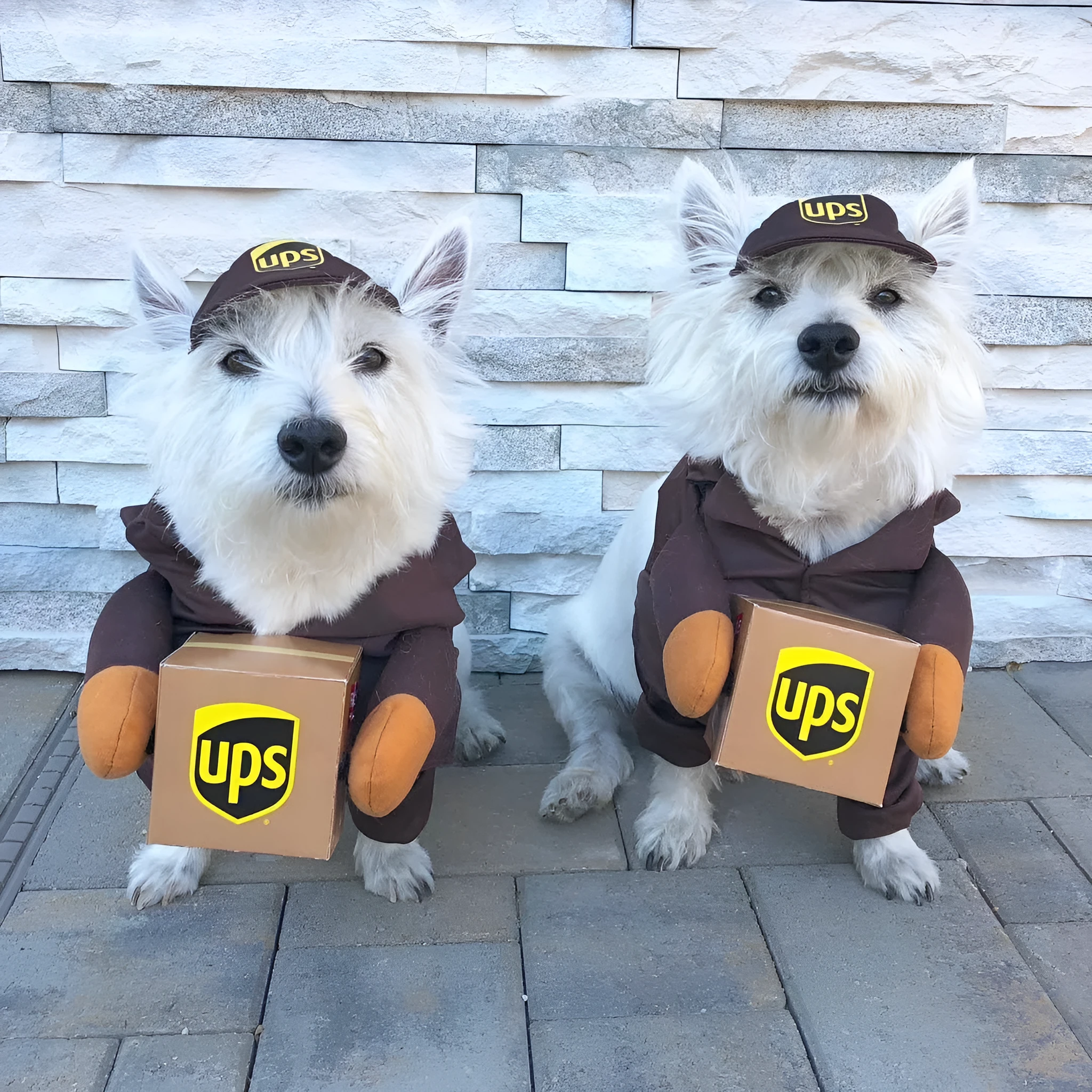 Funny Express pet dog cat clothes in brown cloth, size L for chest 60-70cm