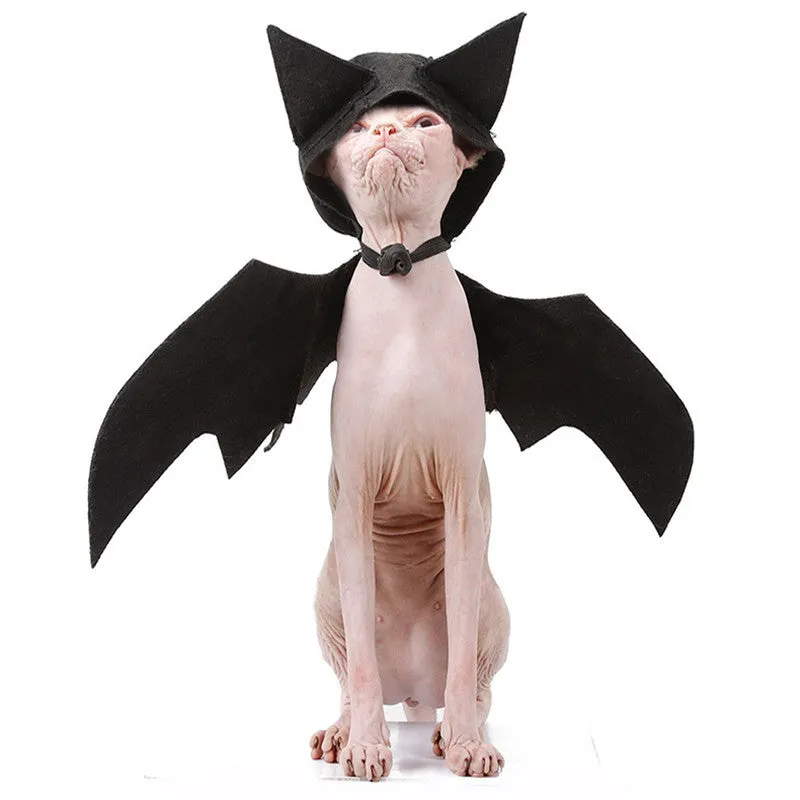 Black felt bat wing costume for cats and dogs with Velcro strap, size L shown on a pet