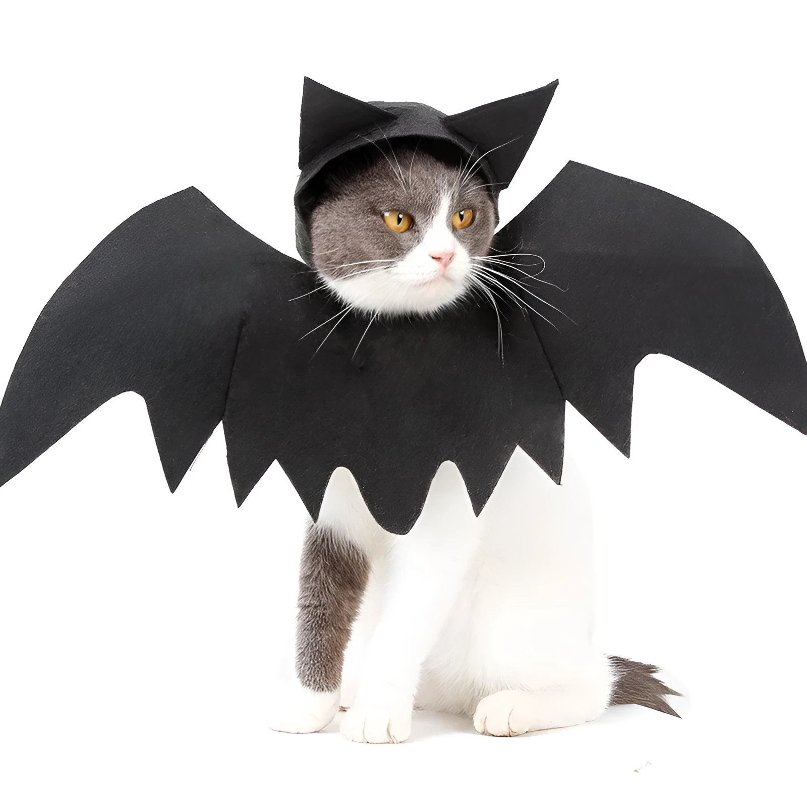 Black felt bat wing costume for cats and dogs with Velcro strap, size L shown on a pet