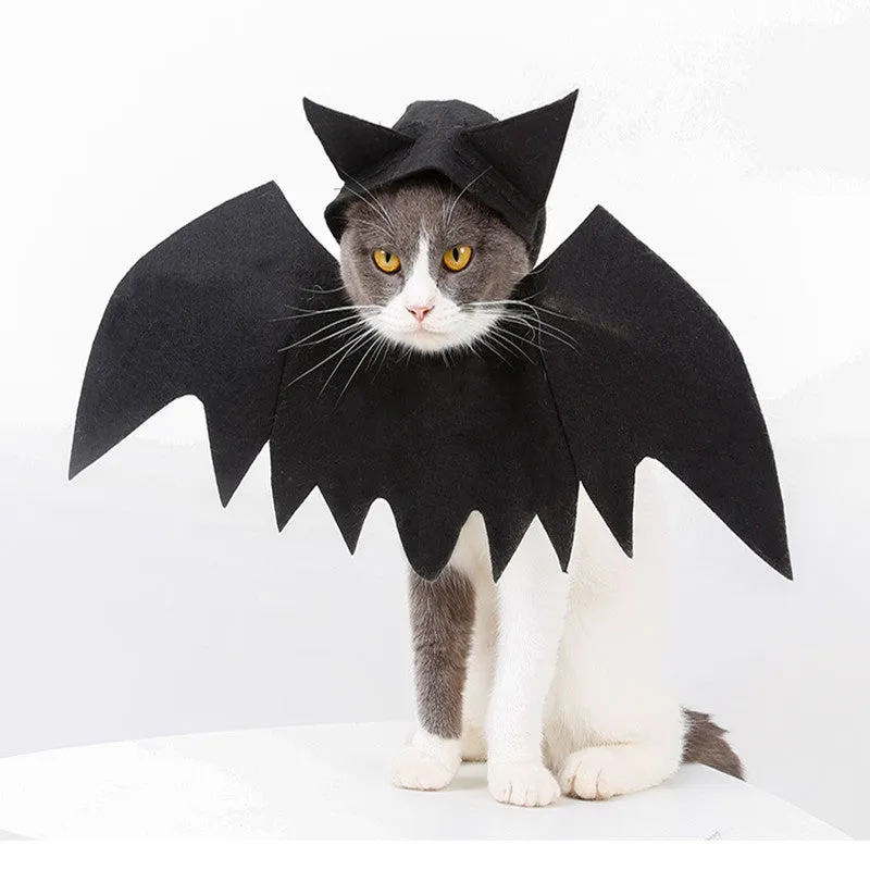Black felt bat wing costume for cats and dogs with Velcro strap, size L shown on a pet
