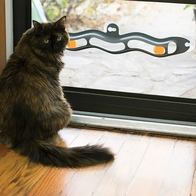 Interactive track ball cat toy with grey plastic track and suction cup attached to a window, 58 cm length