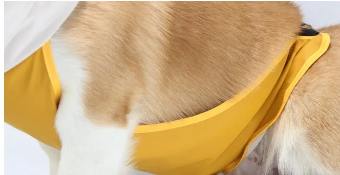 Dog raincoat with transparent hood and bellyband, waterproof PU material, Egg Yolk Man colour