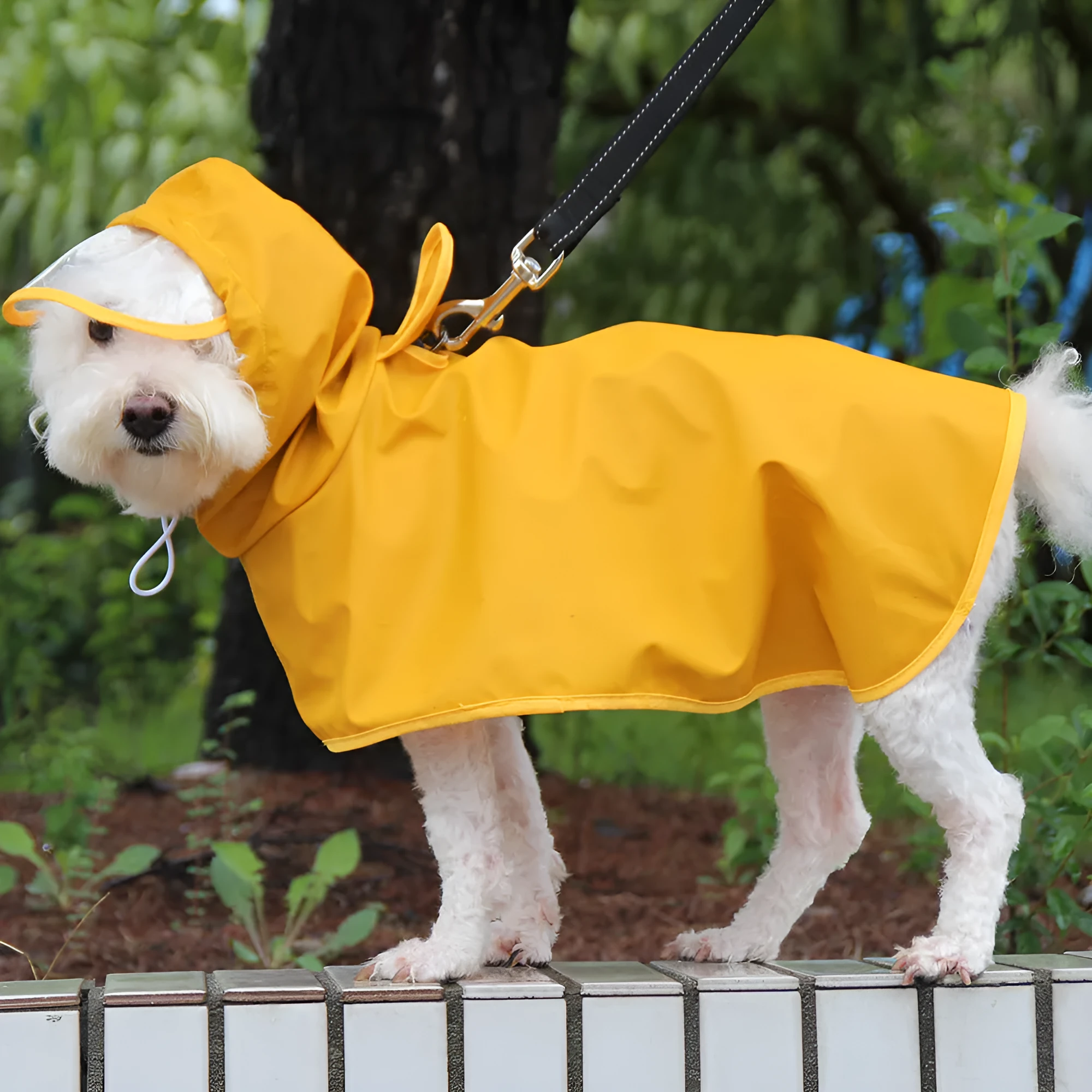 Dog raincoat with transparent hood and bellyband, waterproof PU material, Egg Yolk Man colour