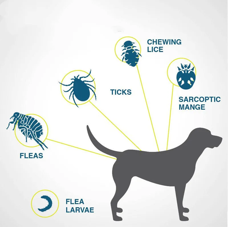 Adjustable grey flea and tick collar for dogs on a white background, 62cm size