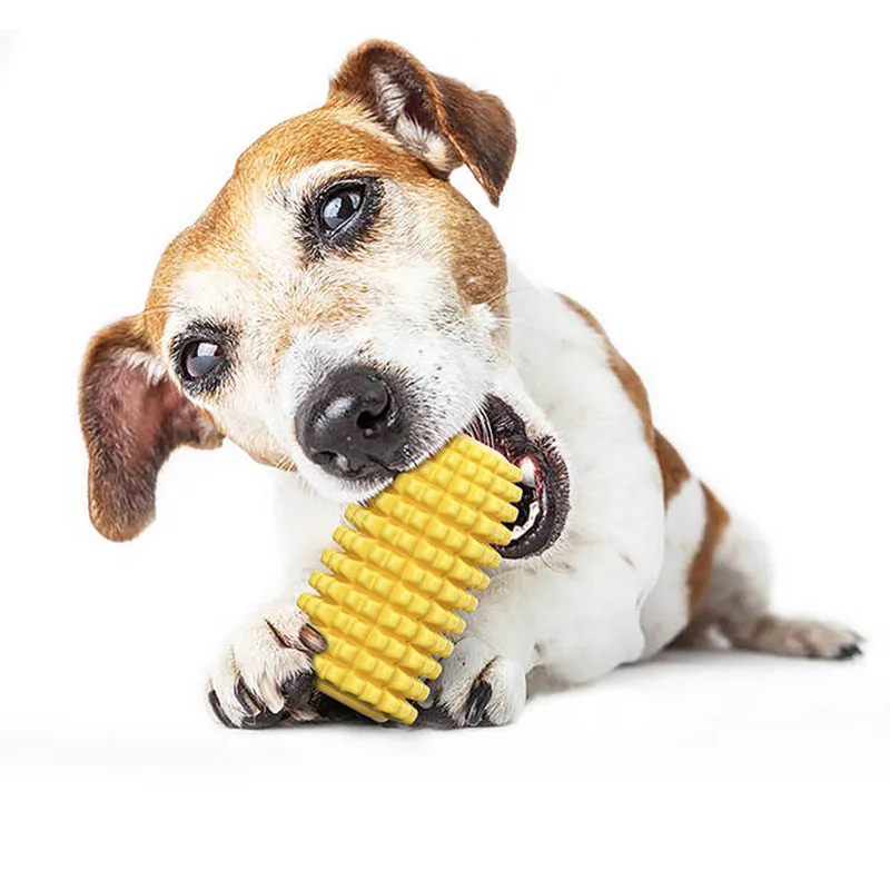 Dog corn molar stick chew toy with suction cup base in plastic, 111x56mm, 120g, green and yellow style