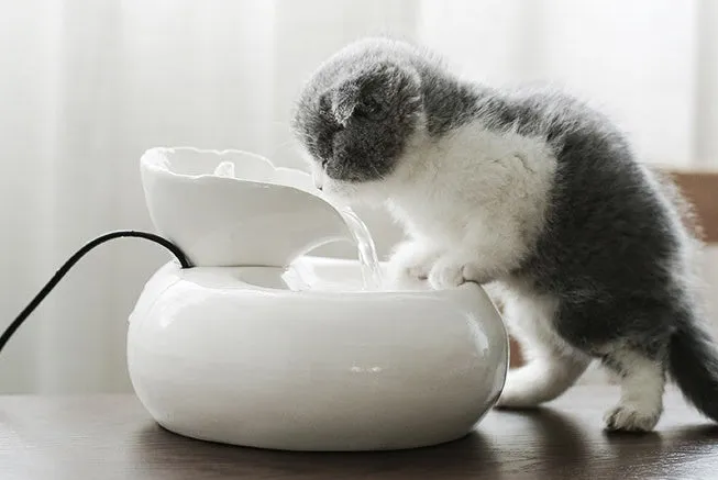 White porcelain leaf-shaped automatic cat water dispenser on floor