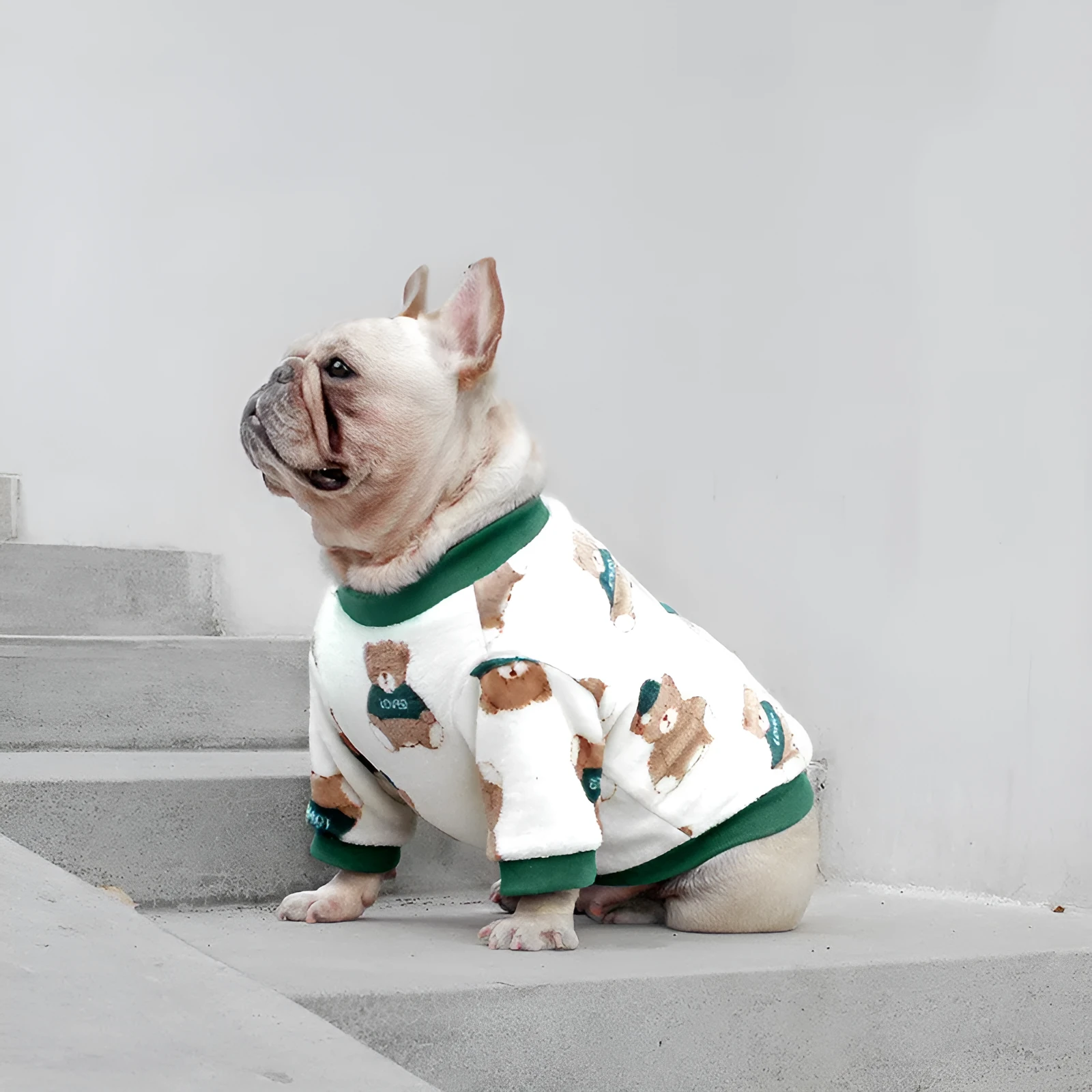 Coral fleece dog pyjamas in Bear style pattern on a female dog, side view, winter apparel