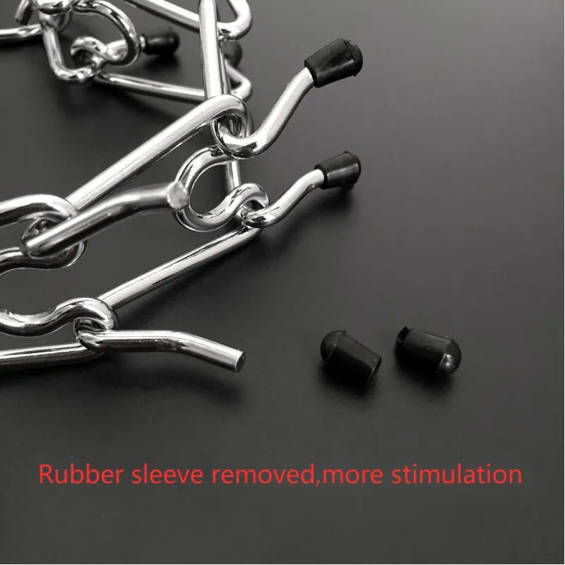 Chrome plated pinch dog collar with rubber tips for training, silver colour, detachable chain, shown on white background