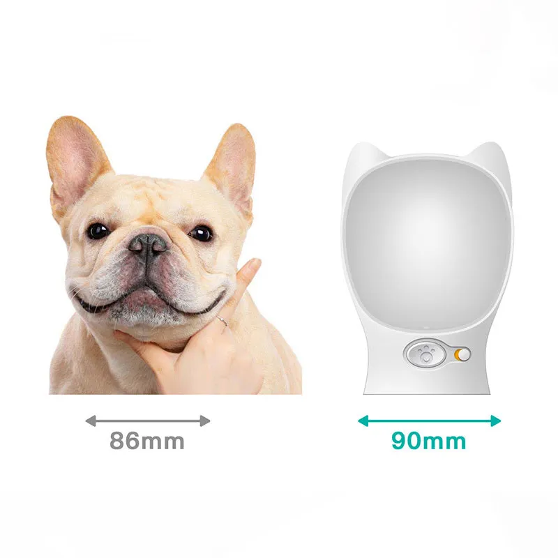 Portable pet dog drinker water bottle in black with automatic leak proof outdoor feeder for dogs and cats