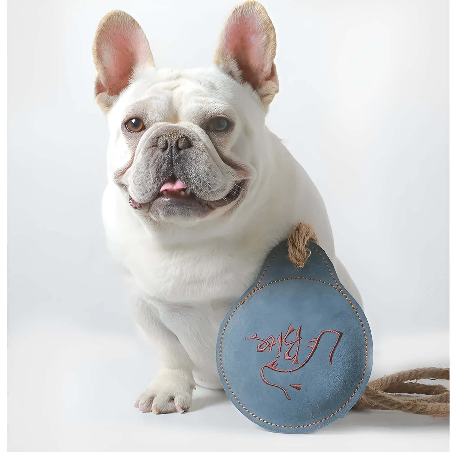 Natural cowhide dog training chew toy in Beige colour with vocal insert, shaped as a pony, on white background