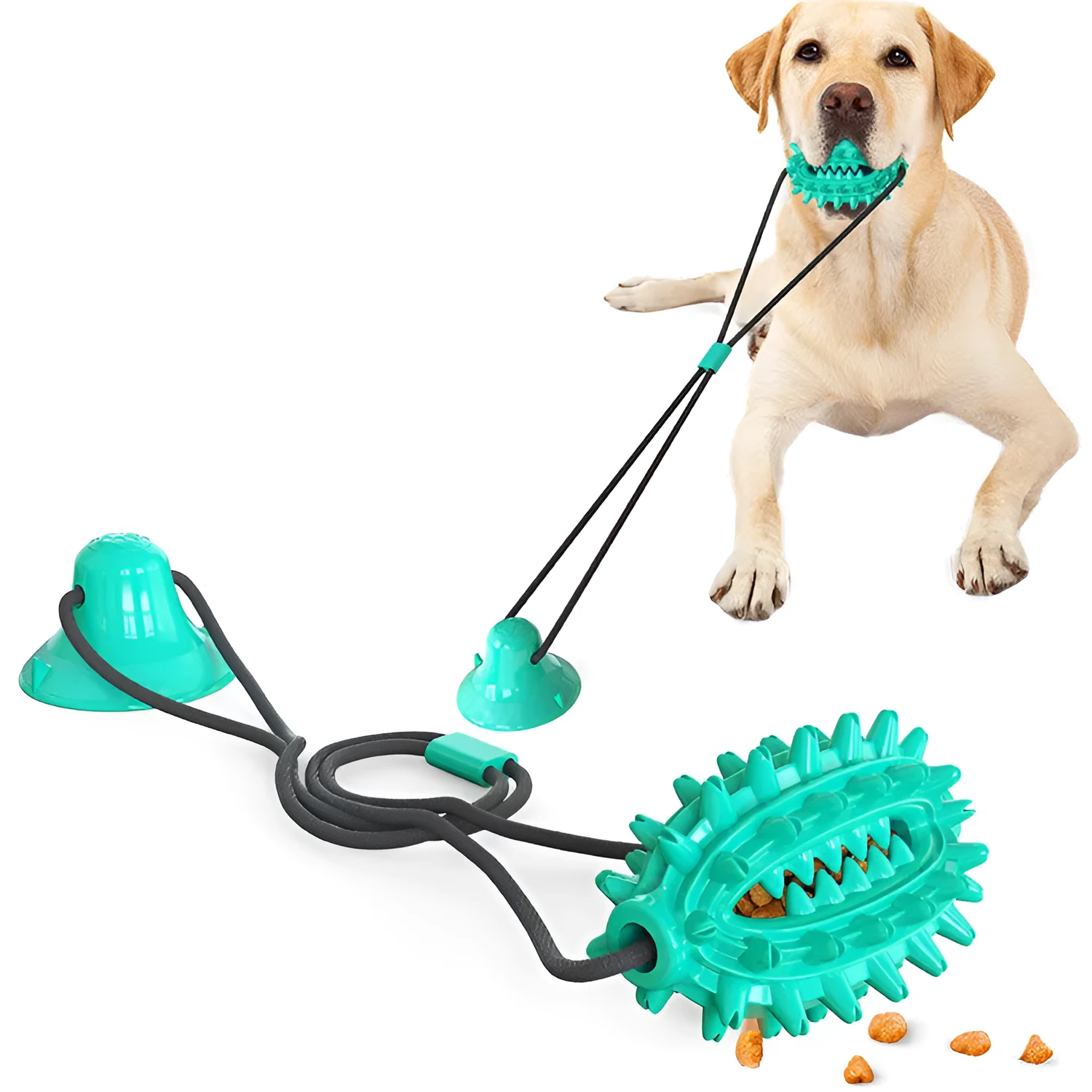 Green TPR sucker dog toy cactus with molar stick and leaking ball on a smooth floor