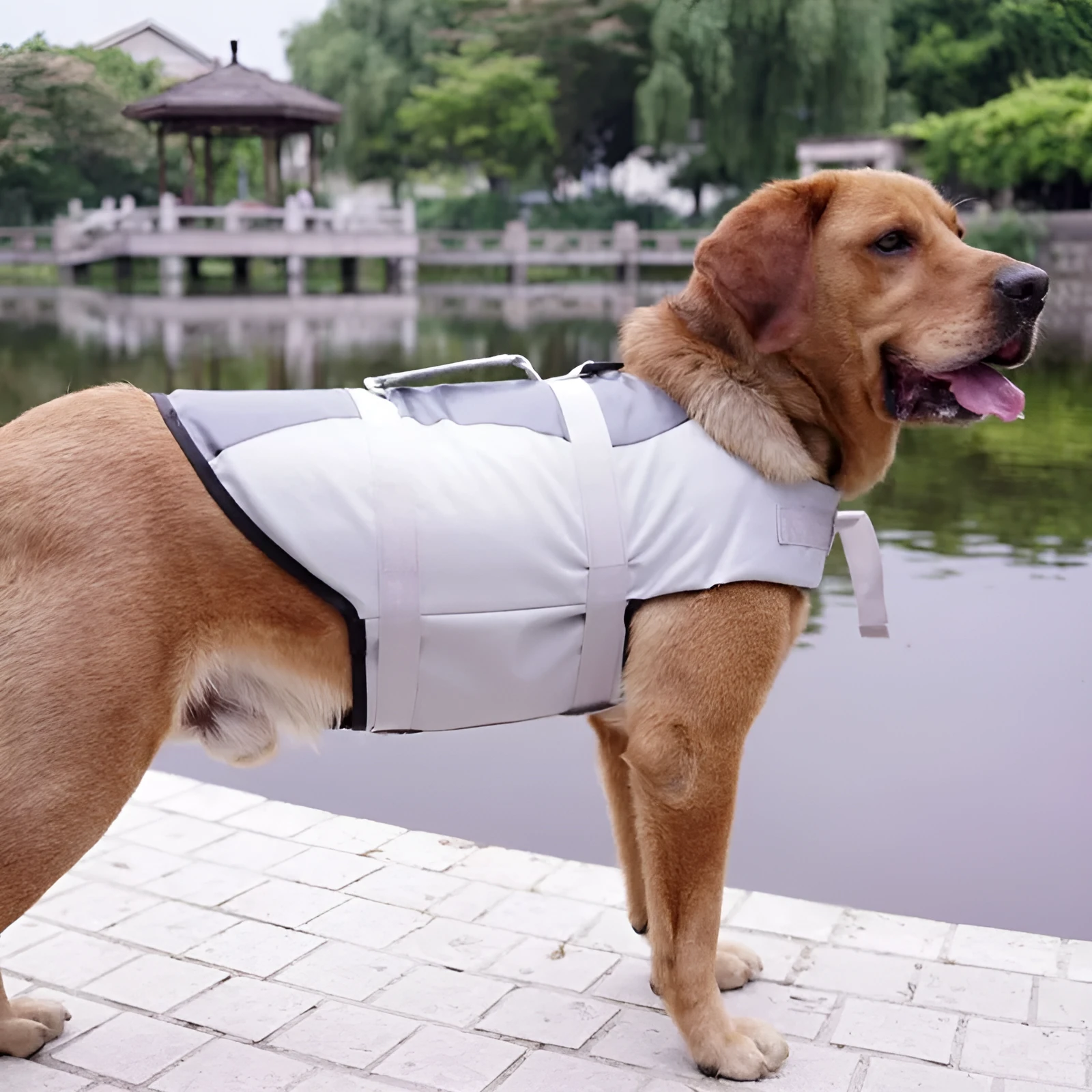 Pet life jacket vest for dogs in polyester, available in Rose Red and Silver Grey sizes XS to L