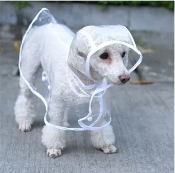 Transparent waterproof PVC dog raincoat with hood on a small dog, showing adjustable waist and chest straps, green colour