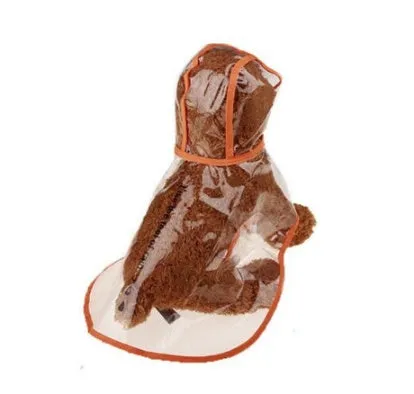 Transparent waterproof PVC dog raincoat with hood on a small dog, showing adjustable waist and chest straps, green colour