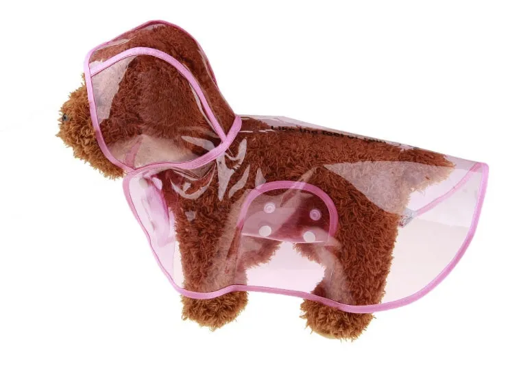 Transparent waterproof PVC dog raincoat with hood on a small dog, showing adjustable waist and chest straps, green colour