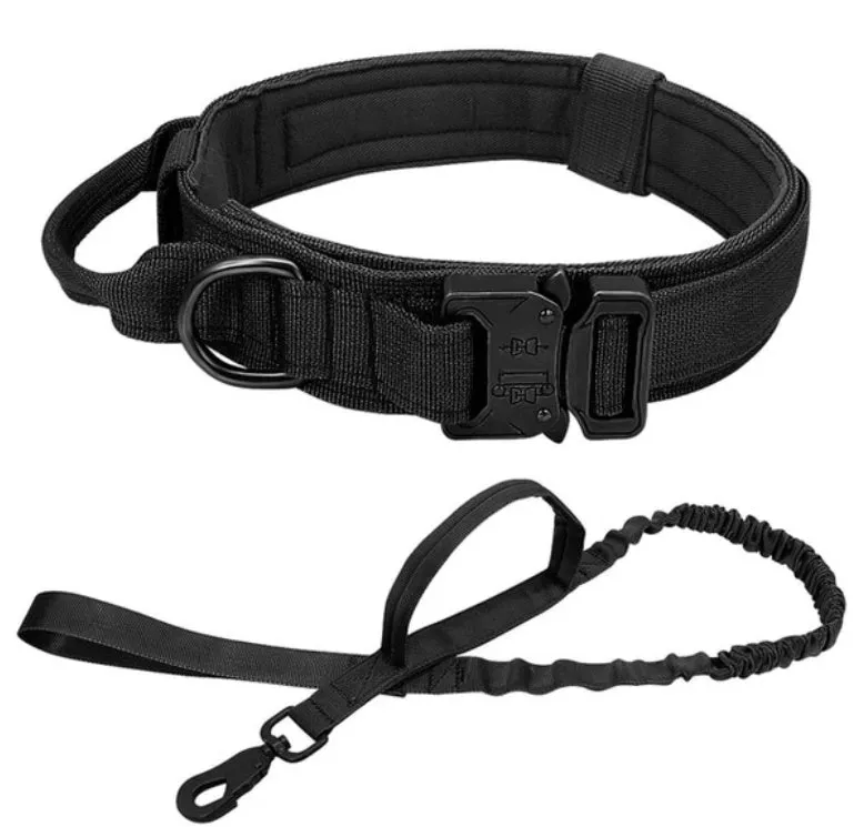 Tactical 600d nylon dog collar for large dogs in black