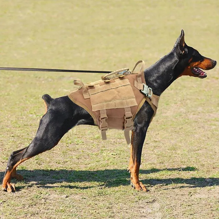 Malinois large dog training vest harness black colour chest back with packs and stickers