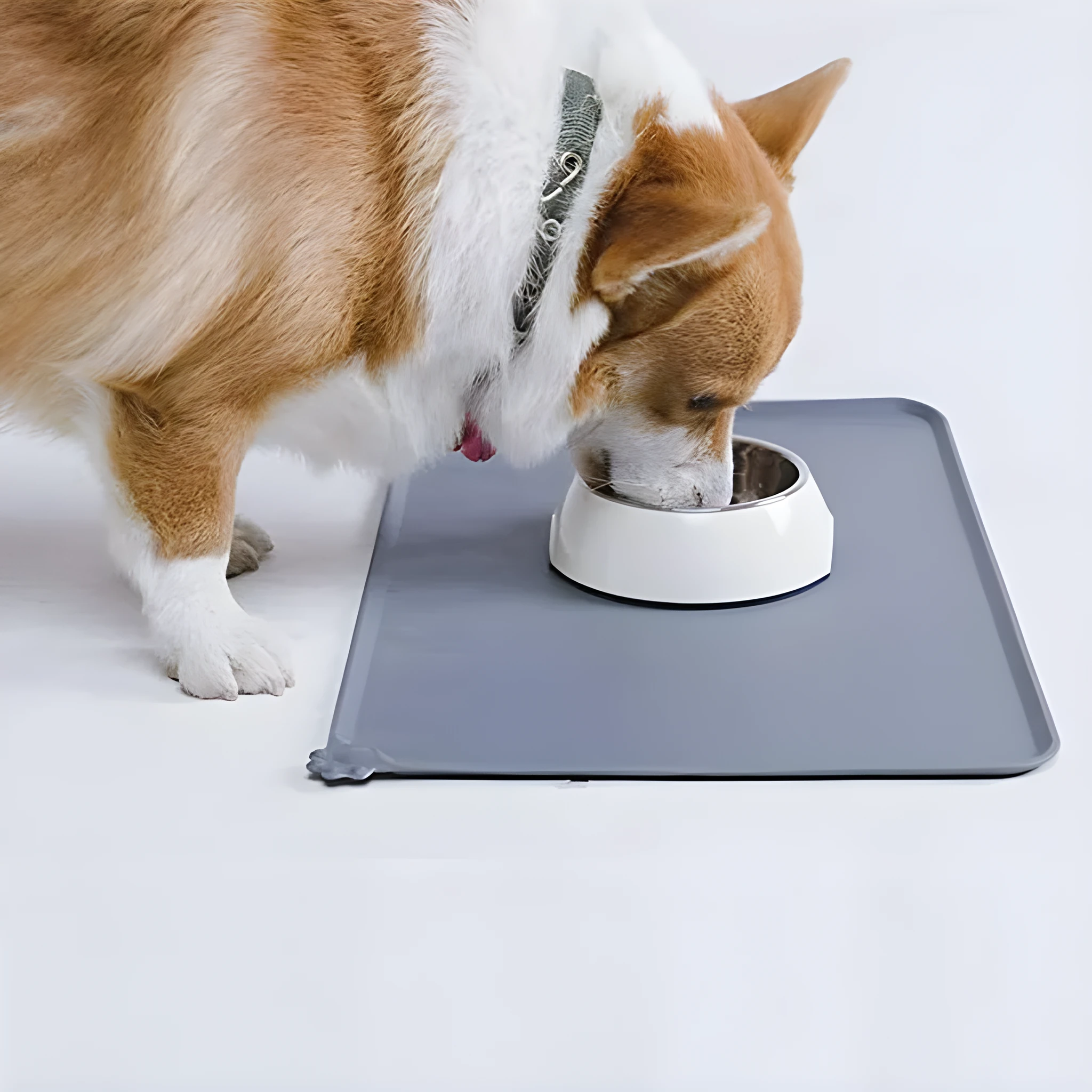 Stainless steel cat dog feeder bowl with electroplated ABS stand and bowl mat