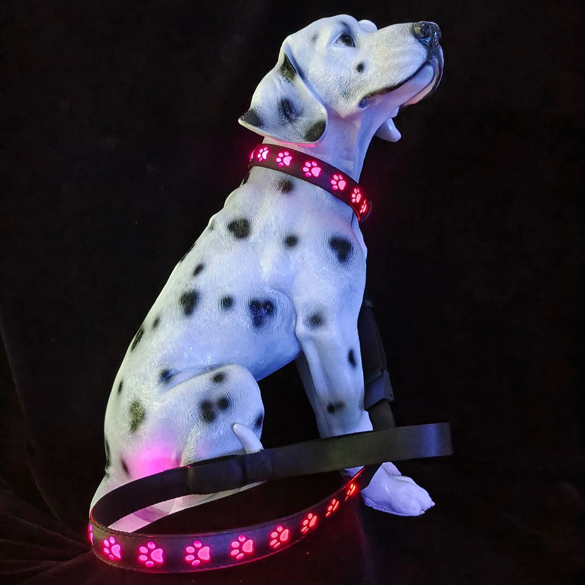 A dog wearing a black polyester LED collar with a glowing multi-colour light and a paw print pattern.