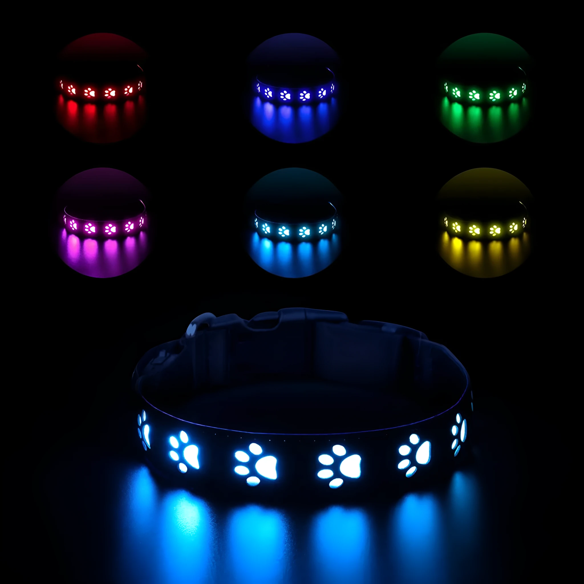 A dog wearing a black polyester LED collar with a glowing multi-colour light and a paw print pattern.