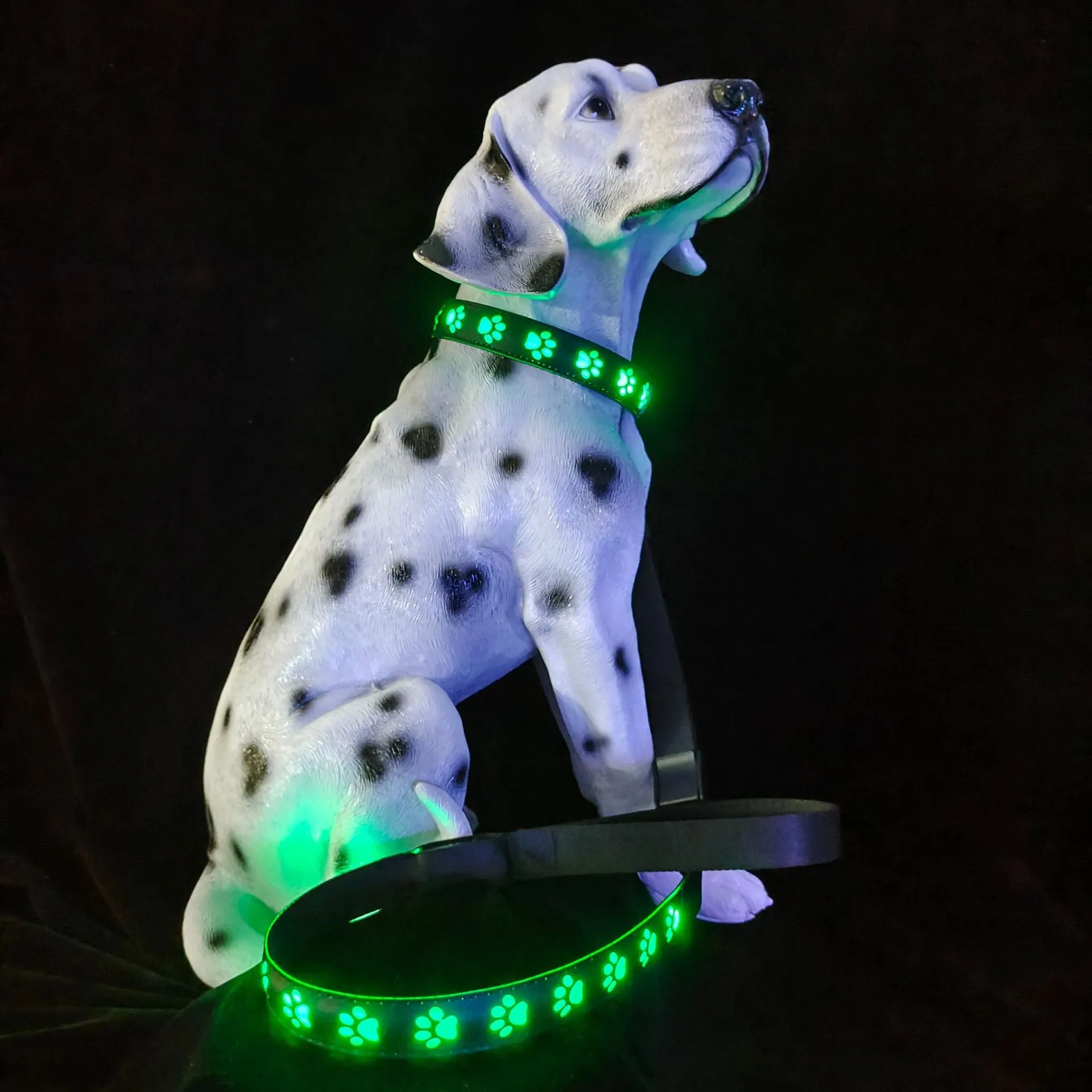 A dog wearing a black polyester LED collar with a glowing multi-colour light and a paw print pattern.