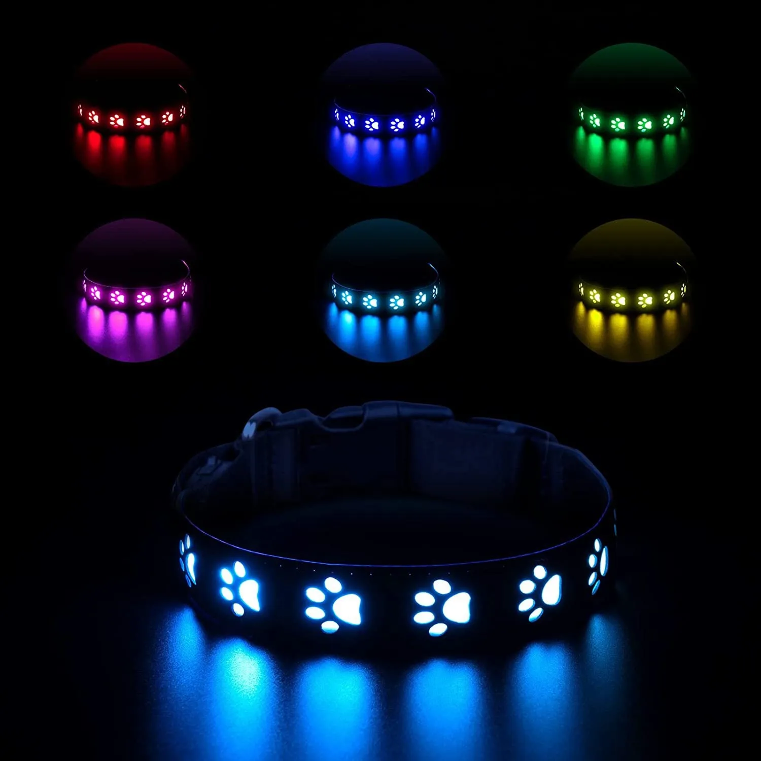 A dog wearing a black polyester LED collar with a glowing multi-colour light and a paw print pattern.