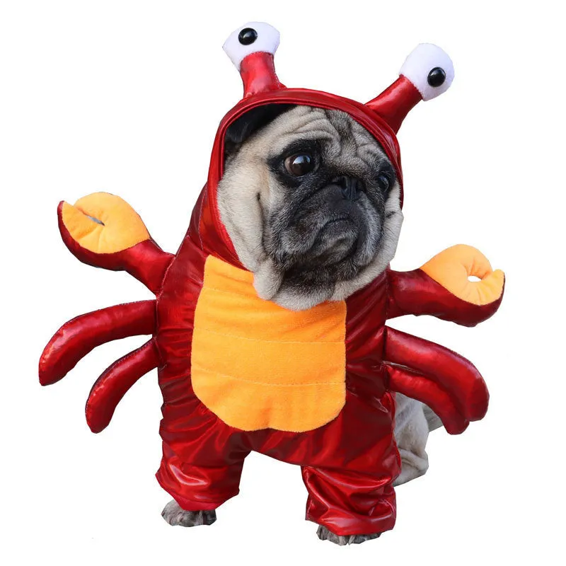 Red PU pet Halloween costume transfiguration outfit for cat or dog on a plain background