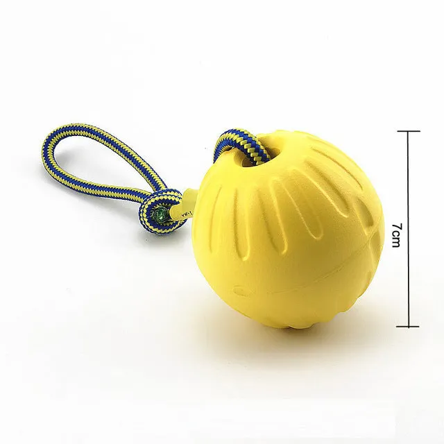 EVA interactive pet ball dog toy rubber frisbee pull ring for outdoor dog training exercise 22cm 28cm